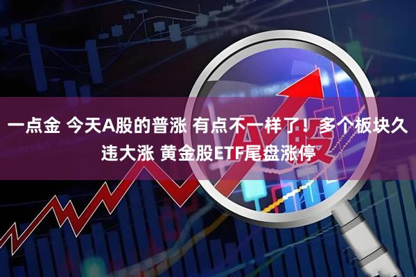 一点金 今天A股的普涨 有点不一样了！多个板块久违大涨 黄金股ETF尾盘涨停