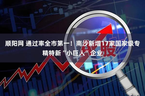 顺阳网 通过率全市第一！南沙新增17家国家级专精特新“小巨人”企业