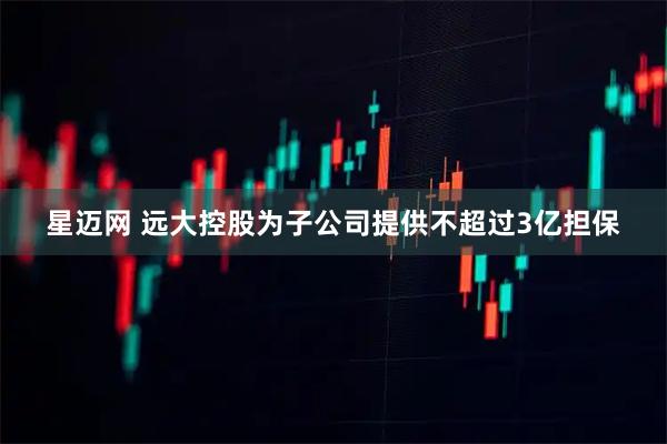 星迈网 远大控股为子公司提供不超过3亿担保