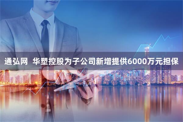 通弘网  华塑控股为子公司新增提供6000万元担保