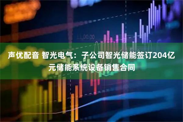 声优配音 智光电气：子公司智光储能签订204亿元储能系统设备销售合同